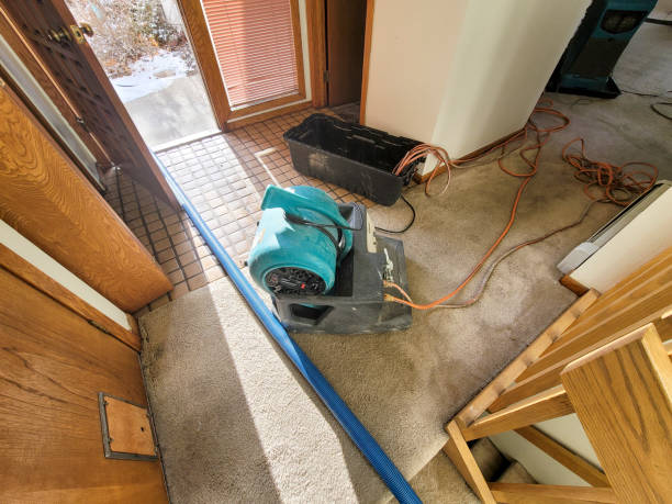 Trusted Water Damage Restoration in Eagan, MN | Fast, Reliable, and Ready to Assist You